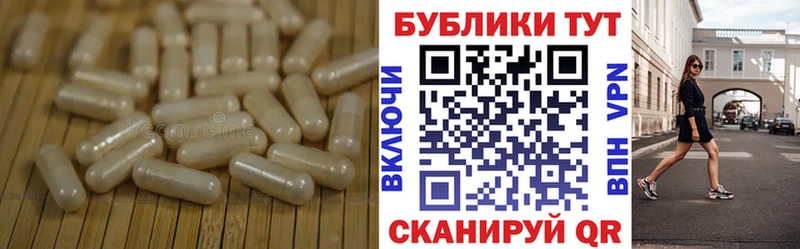 Ecstasy бентли  ОМГ ОМГ онион  Апрелевка 
