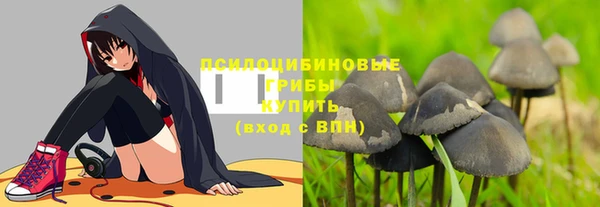 бутират Алексеевка