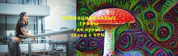apvp Алексин