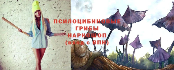 apvp Алексин