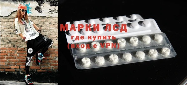 apvp Алексин