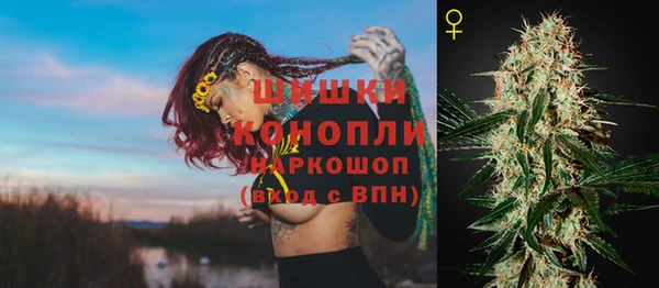 спайс Алзамай