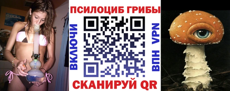 где продают   Апрелевка  Галлюциногенные грибы прущие грибы 
